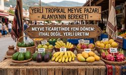 Alanya Tropikalin Başkenti Ama Rafları İthal Meyveler Süsledi!
