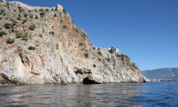 ALANYA’DA FOKLAR İÇİN SEFERBERLİK! MAĞARALAR TEMİZLENDİ, KAMERALAR YERLEŞTİRİLDİ