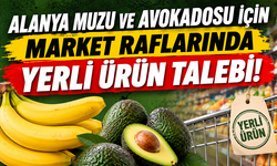 ALANYA MUZU VE AVOKADOSU İÇİN MARKET RAFLARINDA YERLİ ÜRÜN TALEBİ!