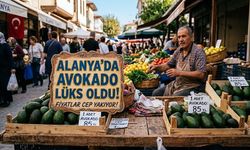 ALANYA’DA AVOKADO LÜKS OLDU!