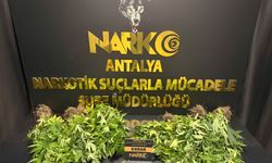 Antalya’da bir haftada 32 narkotik operasyonu!