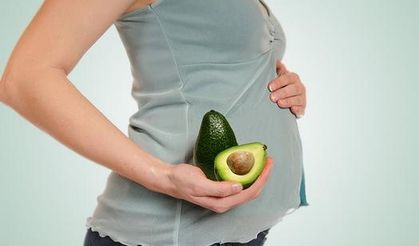 Alanya avokadonun üretim merkezi oldu