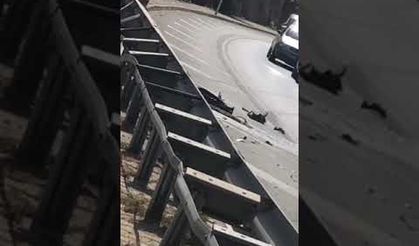 ALANYA'DA SÜRÜCÜ VİRAJI ALAMADI, BARİYERLERE ÇARPTTI