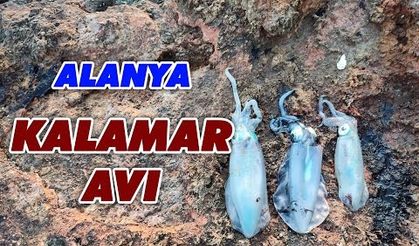 Alanya Kalamar Avı