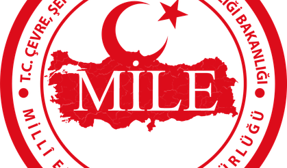 Milli Emlak Alanya’da 4 Dönüm Arazi Satıyor. İşte fiyatı ve yeri