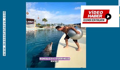 Ünlü YouTuber Fester Abdü’nün Alanya’da çektiği yunus videosu dünya çapında viral oldu!