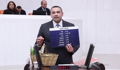 Alanya-Anamur ve Gazipaşa muzu ciddi krizle karşı karşıyaya