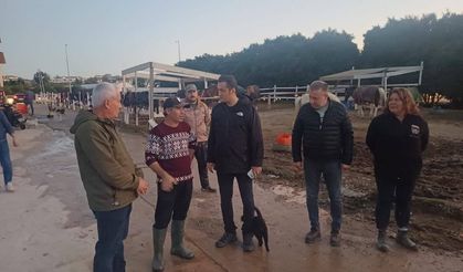 Alanya Oba At Çiftliği ve Dere Hattında Son Durum Ne? Kaymakam Bölgede