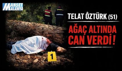 Kesim Kabusa Döndü: Alanya’da Ağaç Altında Can Verdi