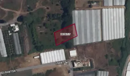 Alanya’da dev Hazine arazisi satışta