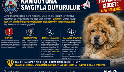 Alanya’da Vicdanları Sızlatan Olay! Köpeğe Eziyet İddiasında Şüpheli Gözaltında
