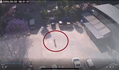 Bu da Oldu! Alanya’da Sokak Kedilerinin Mama Kaplarını Çaldılar