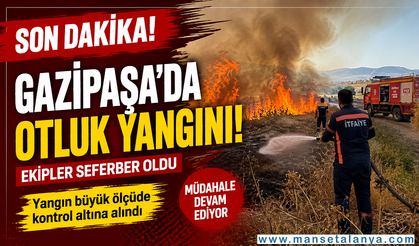 SON DAKİKA | Gazipaşa Aydın Mahallesi'nde Otluk Yangını! Ekipler Hızla Müdahale Etti