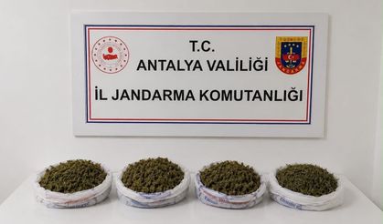 Jandarma Baskınında 2 Kiloya Yakın Kubar Esrar Bulundu