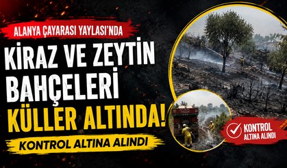Ormana Sıçramadan Kontrol Altına Alındı! Çayarası’nda Yürekleri Ağza Getiren Yangın