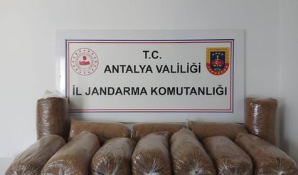 Alanya’da Araçtan 72 Kilo Kaçak Tütün Çıktı