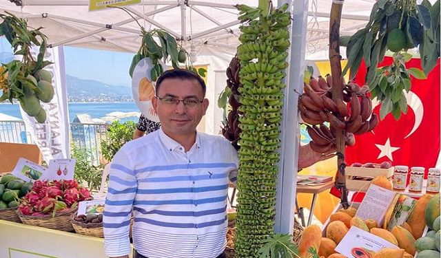 Alanya’dan Türkiye’ye Yayılan Muz Serüveni: Kırmızı ve Parmak Muz Üretimi Başladı