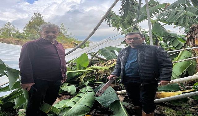 Alanya’da Şiddetli Fırtına Seralarda Büyük Hasara Neden Oldu