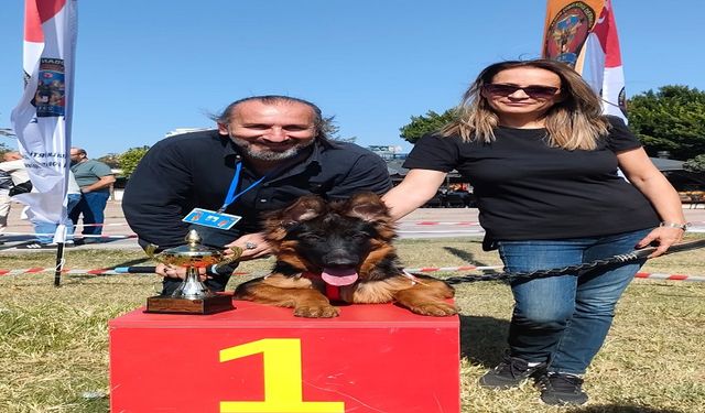 Alanyalı Köpek Nobel, Antalya Cumhuriyet Kupası’nda Zirveye Oturdu