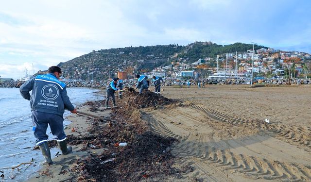 Alanya Sahilleri Fırtına Sonrası Temizleniyor