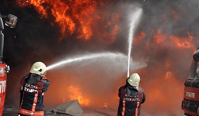 Mahmutlar’da Korkutan Yangın: Bir Kedi Hayatını Kaybetti