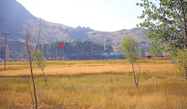 Alanya'nın yaylalarına ev yaptıracaklar. Bu haberi okumadan yaptırmayın! Hem de ücretsiz...