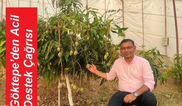 Tarımda Don Alarmı: Göktepe’den Acil Destek Çağrısı