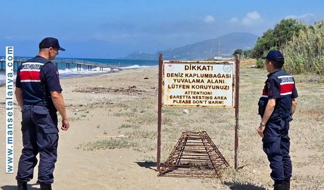 KAPLUMBAĞALAR İÇİN ALANYA'NIN DEMİRTAŞ SAHİLLERİNE GECE YASAĞI