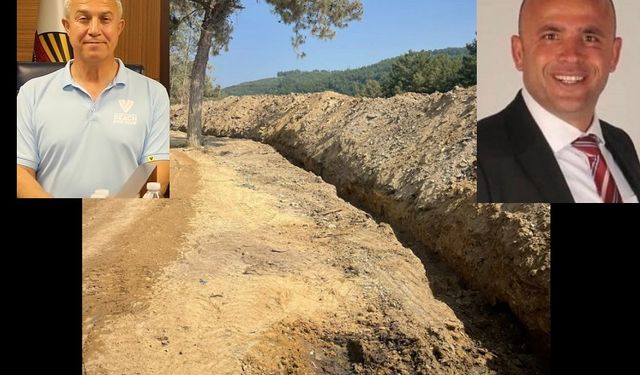 Vatandaş Ses Verdi, Özçelik Duydu: Orman Temizliği Başladı…