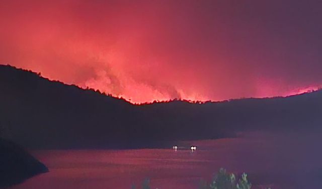 Türkiye Alevlerle Boğuşuyor: Üç Şehirde Orman Yangınlarıyla Eş Zamanlı Mücadele