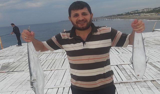 Küresel Isınma Balon Balıklarının Yayılışını Hızlandırıyor