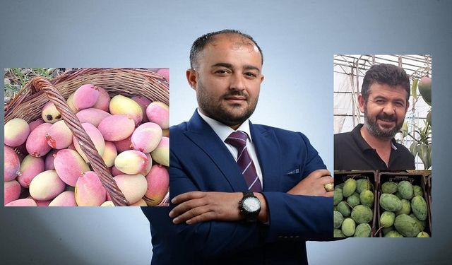 Alanya’da Tropikal Meyve Polemiği: AK Parti Başarı Dedi, Anahtar Parti İtiraz Etti