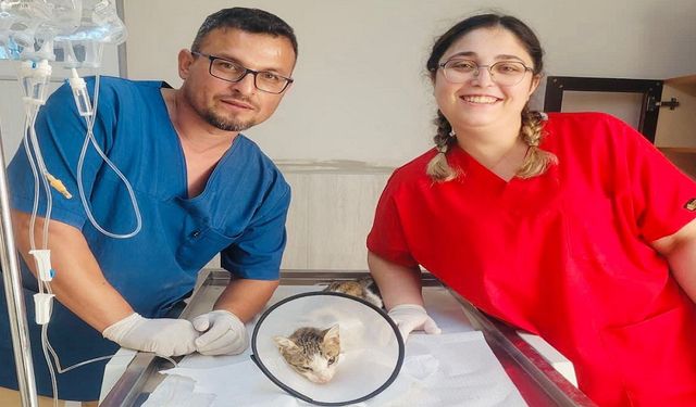 Alanya Belediyesi’nden Bir İlk: Çene Kırıklı Kedi Sağlığına Kavuştu