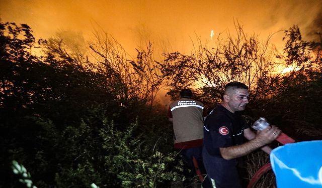 Yangın Alanya’yı Sarstı: Vatandaşlar Dumanlar Arasında Kaldı. Hastaneye...!