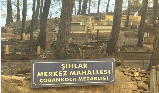 Alanya’da Yangının En Hüzünlü İzleri Mezarlıkta Kaldı