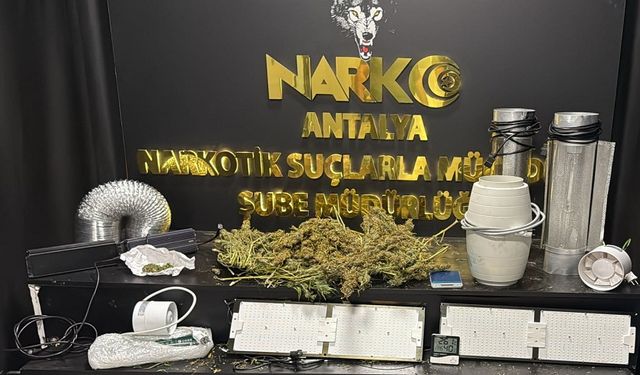 Son bir haftada 29 tutuklama, yüzlerce şüpheli yakalandı