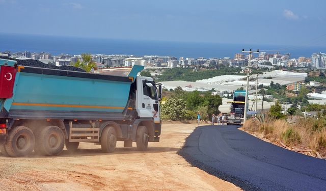 “20 Yıl Sonra İlk Kez! Alanya’nın Yaylaları Yeniden Hayat Buldu”