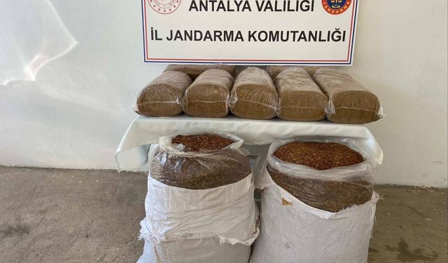 Gazipaşa Jandarmasından Nokta Operasyon