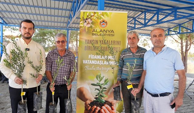 Başkan Özçelik’in Sözleri Gerçek Oluyor: 3400 Zeytin Fidanı Dağıtıldı