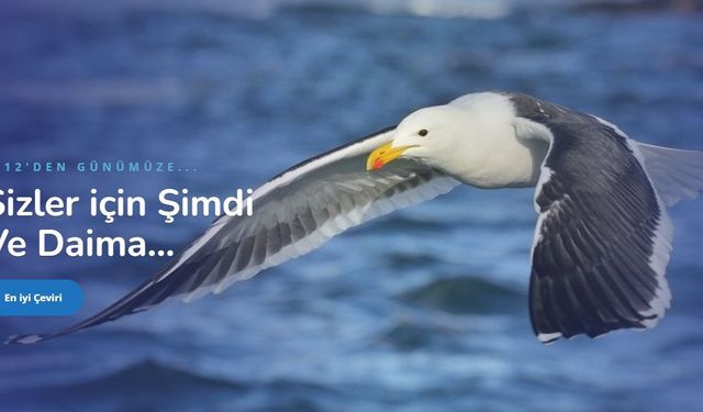 Rusça Çeviri Fiyatları 2026: Ticari Belgeler ve Pasaport Çeviri Ücretleri