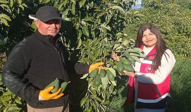 Alanya Tarımında Bilinçli Üretim Hamlesi