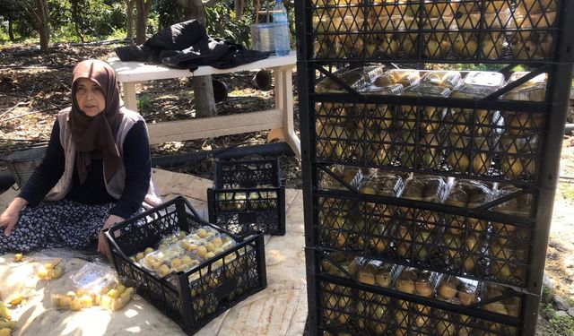 Alanya’da Baharın Habercisi: İlk Muşmulalar Hale Gönderildi