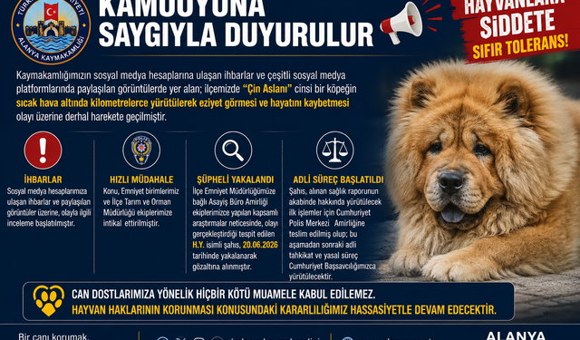 Alanya’da Vicdanları Sızlatan Olay! Köpeğe Eziyet İddiasında Şüpheli Gözaltında