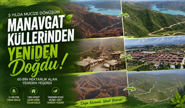 Yangının İzleri Silindi, Umut Yeniden Filizlendi