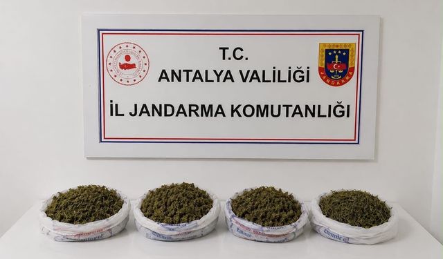 Jandarma Baskınında 2 Kiloya Yakın Kubar Esrar Bulundu