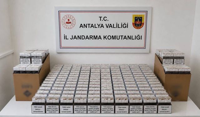 Alanya'da Kaçak Tütün Operasyonu: 10 Bin 680 Dolu Makaron Ele Geçirildi