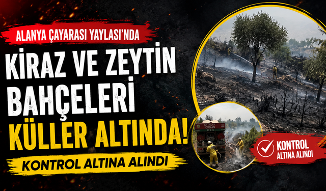 Ormana Sıçramadan Kontrol Altına Alındı! Çayarası’nda Yürekleri Ağza Getiren Yangın