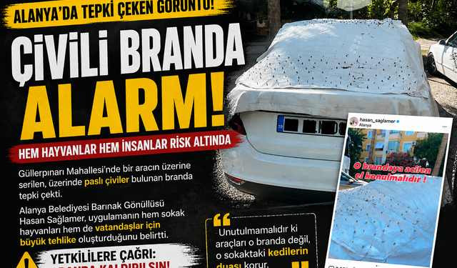 Alanya’da Vicdanları Sızlatan Görüntü