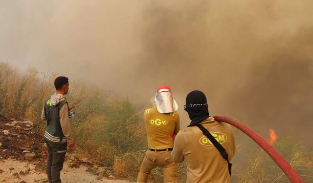 Alanya Alarmda! Yangın Beldibi İstikametine İlerliyor