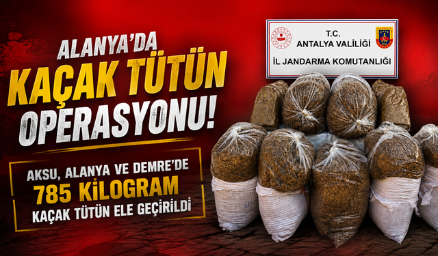 Alanya’da Kaçak Tütün Operasyonu: 785 Kilogram Tütün Ele Geçirildi